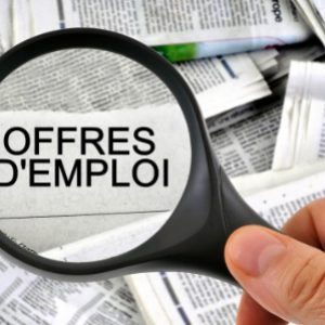 Formulaire d’employabilité des diplômés de l’école