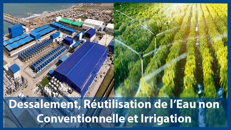 RENC departement new